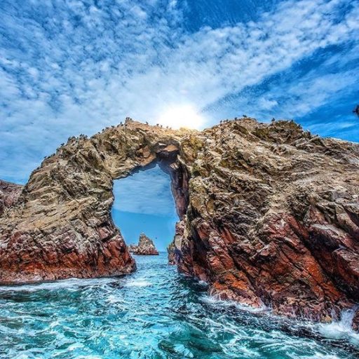 Ballestas Islands - Paracas - Peru